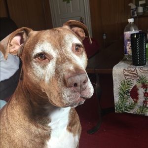 Meet your Posher, Brooklynne